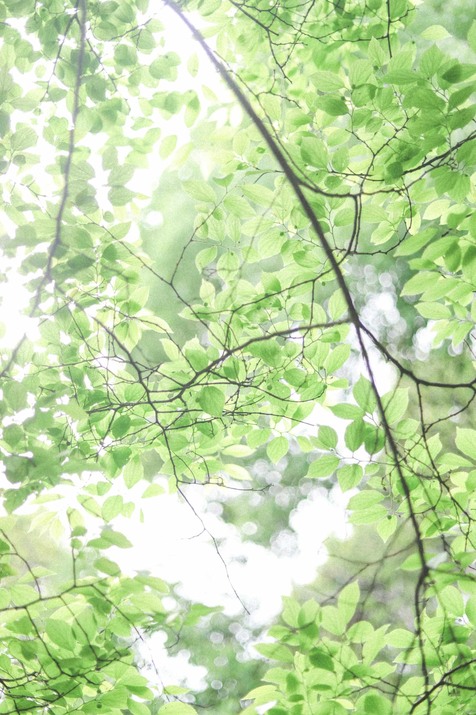 产品截图